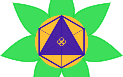 Sacred geometry combinations: Essence Flower