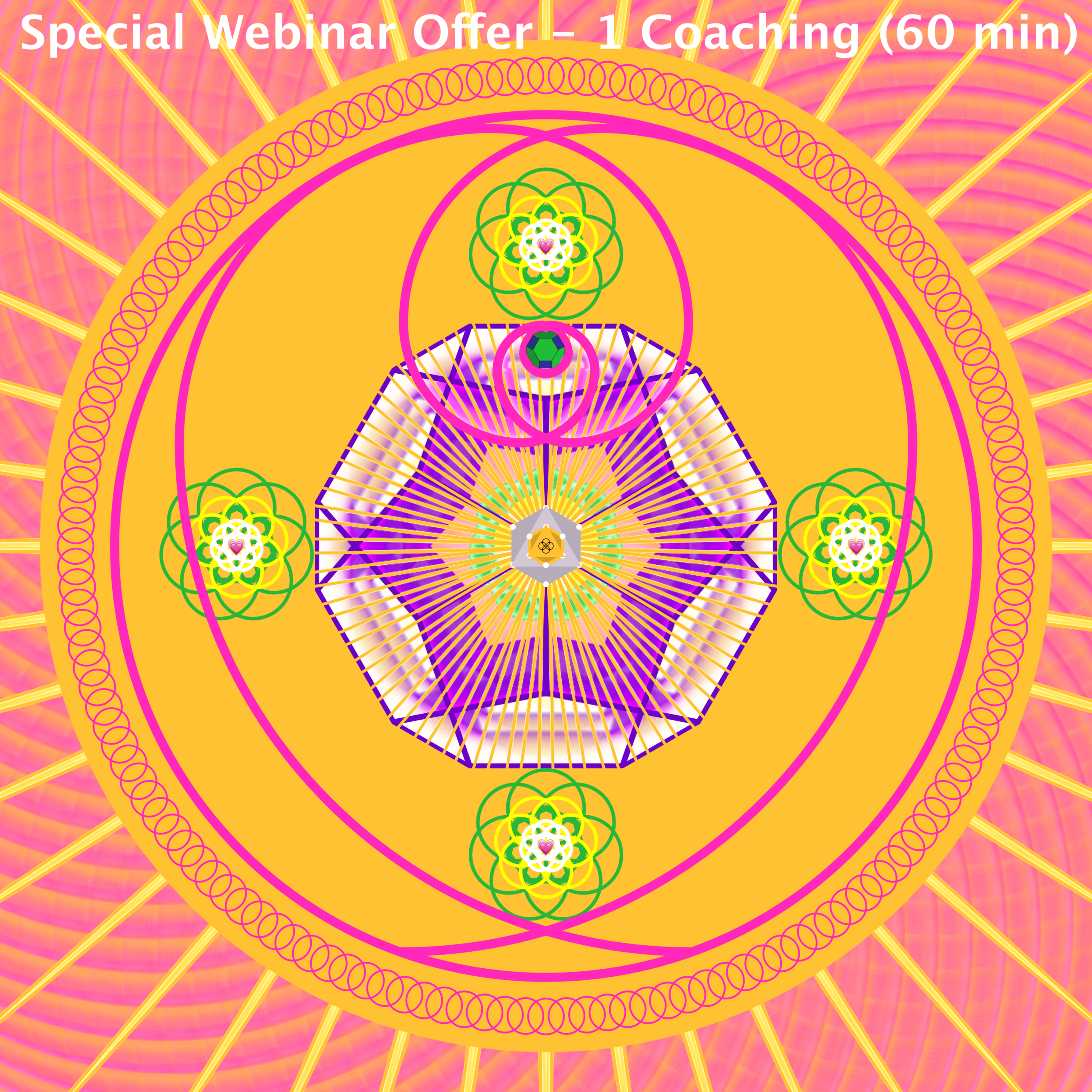 Special Webinar Offer - 1 Coaching (60 min)