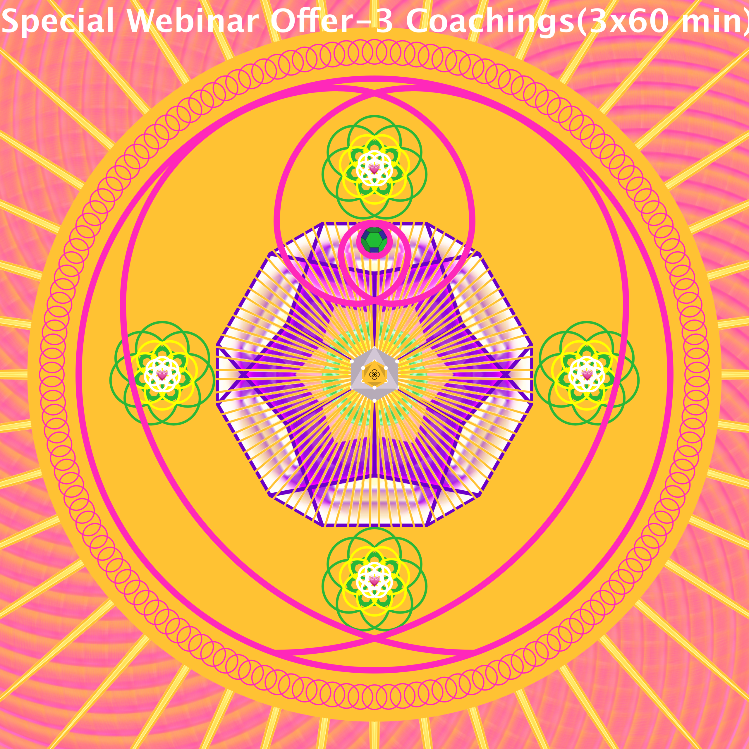 Special Webinar Offer - 3 Coachings (3x60 minutes)